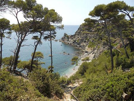 A 500 Metres Des Plages Et Du Port Du Brusc, Les Terrasses Des Embiez Avec Piscine Et Spa Six-Fours-les-Plages Luaran gambar